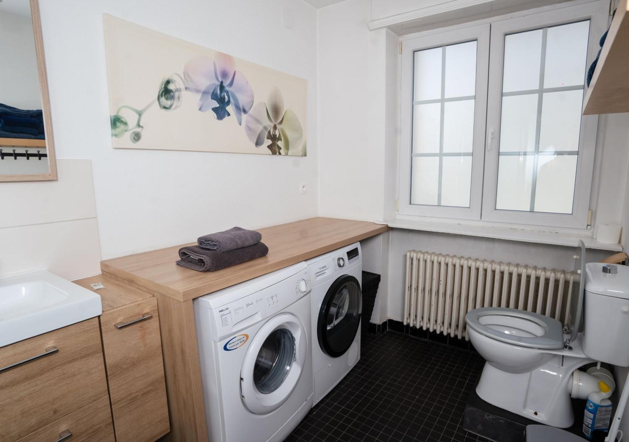 Charmant Appartement Avec Terrasse Dans Villa Strasbourg Exterior photo